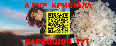 шишки Бийск